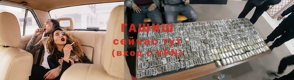 сатива Мегион