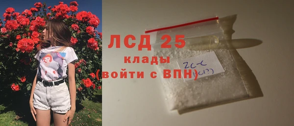 сатива Мегион