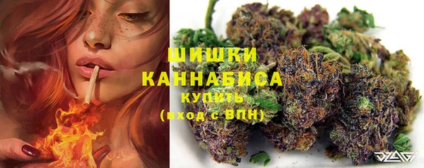 сатива Мегион